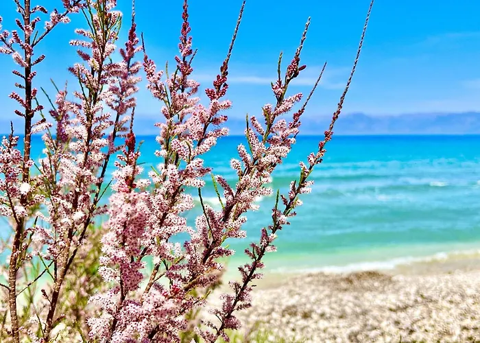 Beachfront Gardenmare By Dadovillas * Litheres