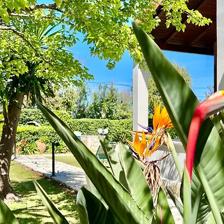 Beachfront Gardenmare By Dadovillas * Litheres