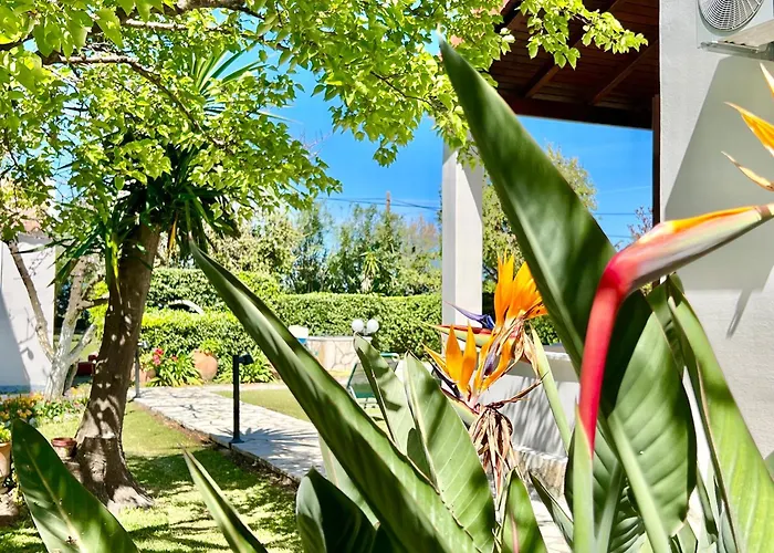 Beachfront Gardenmare By Dadovillas * Litheres